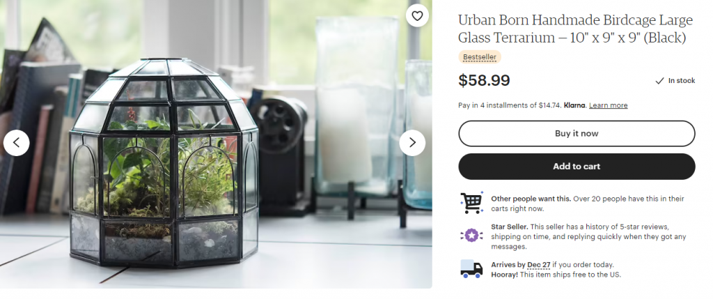 etsy glass terrarium