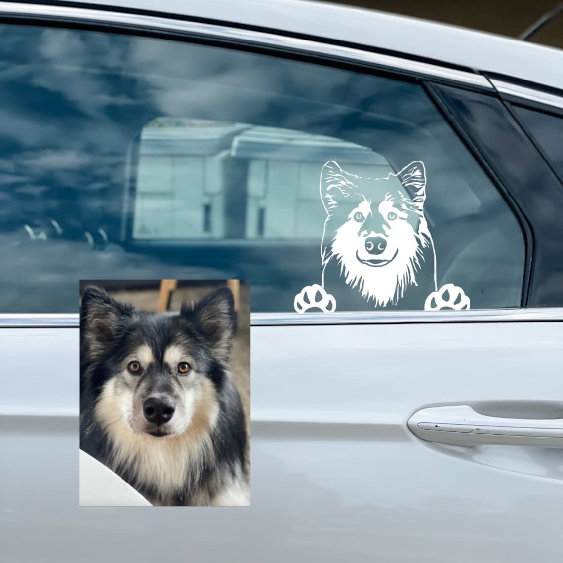 Custom pet portrait decal from photo, dog decal, cat decal, pet memorial decal, custom decal, personalized decal, gift for pet lover, car decal