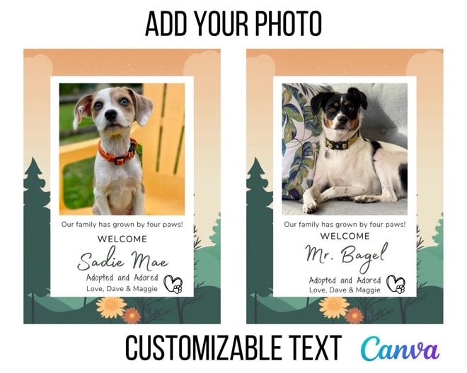 May include: Two printable welcome home pet signs with a green and orange nature theme. The signs feature a photo frame, text that reads 'Our family has grown by four paws! Welcome', a dog's name, 'Adopted and Adored', and 'Love, Dave & Maggie'. The signs have a paw print and heart icon.