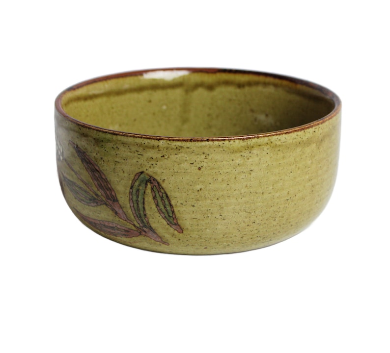 May include: A round, olive-green ceramic bowl with a speckled texture. The rim has a dark brown edge. A painted design of leaves in shades of green and burgundy decorates the side of the bowl. The bowl is set against a white background.