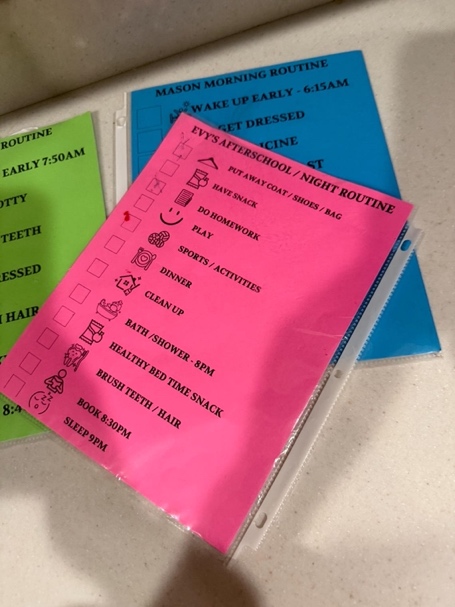 May include: A pink checklist titled "Evy's Afterschool/Night Routine" with a list of activities and icons. The checklist is in a clear plastic sleeve, with a blue checklist behind it. A green checklist is visible on the left.